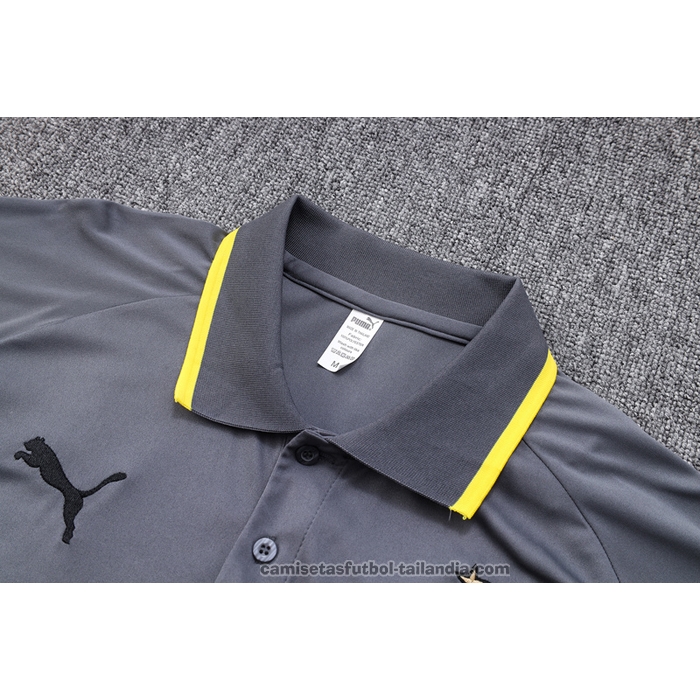 Camiseta Polo del Borussia Dortmund 23/24 Gris